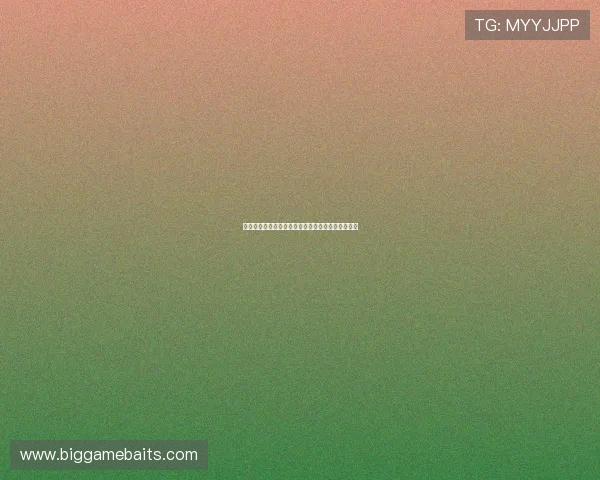 佩罗蒂的哲学思想与实践:深度探索人性与社会互动