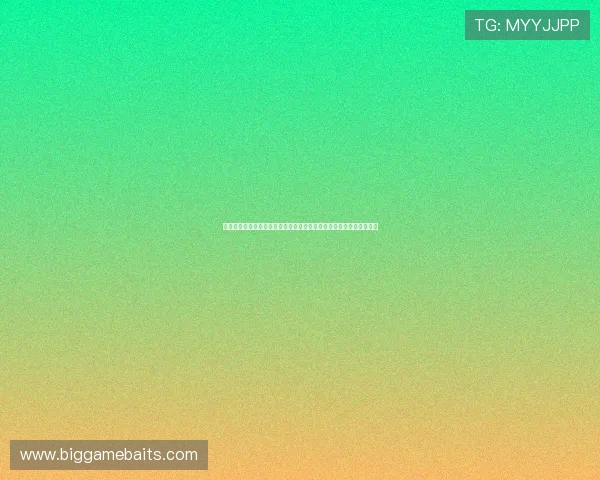 加强奥运会安保措施应对全球安全挑战提升赛事期间公共安全保障水平