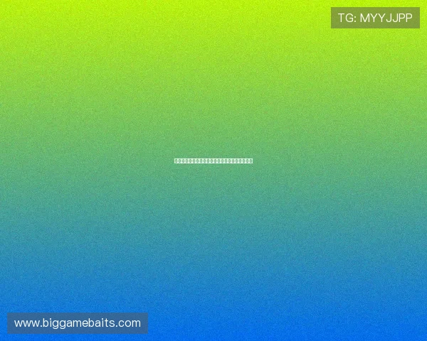 墨尔本胜利足球队的辉煌历史与未来发展展望分析